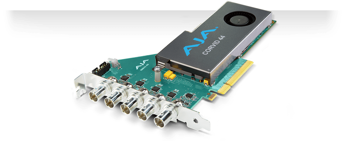 corvid_44_bnc_1140x465